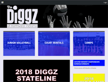 Tablet Screenshot of diggznwi.com